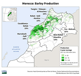 images\MO\cropprod\Morocco_Barley_preview.jpg